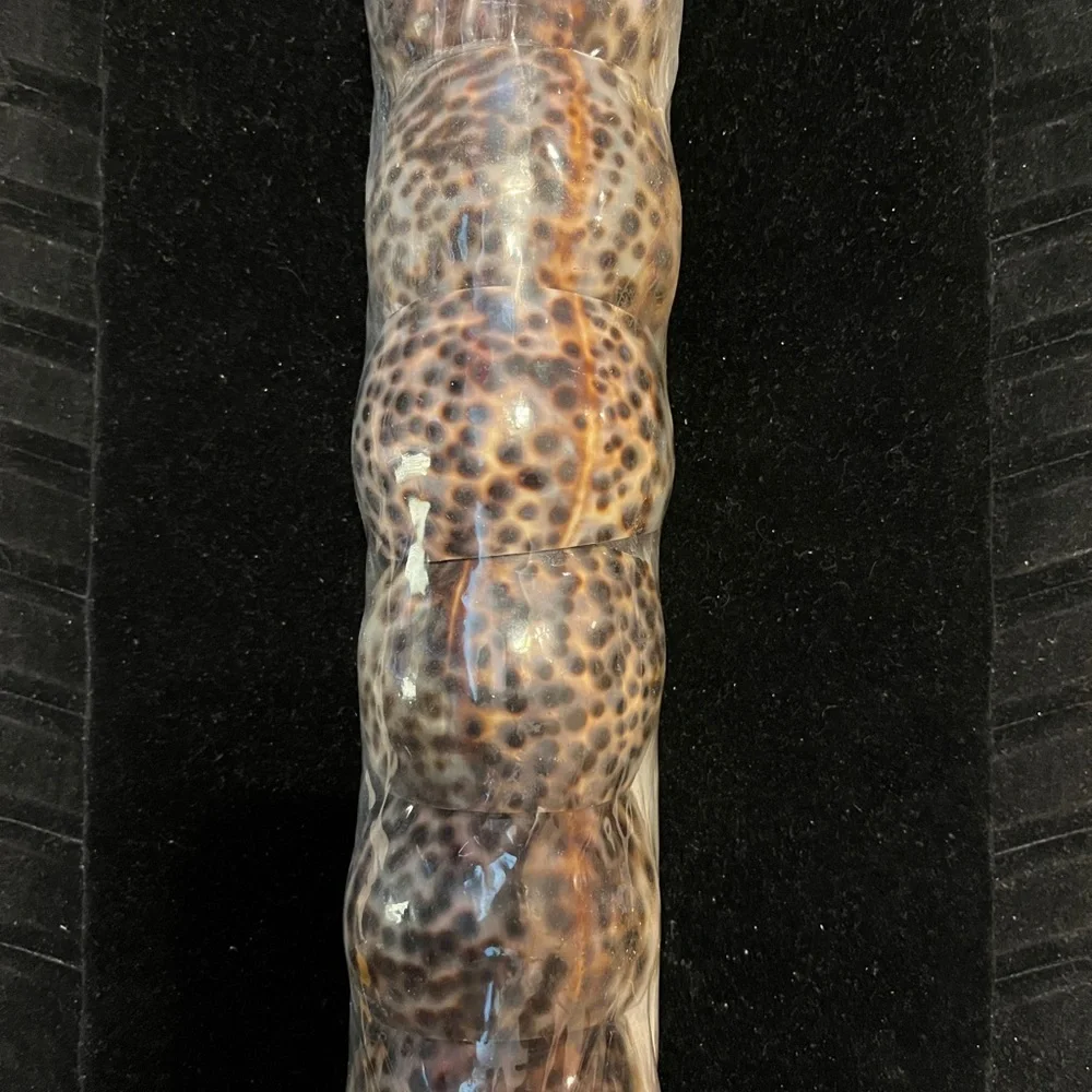 Vintage Tiger Cowrie Sea Shell NAPKIN RING Holders SET of 6 Natural Brown Black